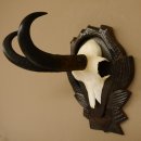 Gamsgeweih Bock SL 22,9 cm Gams Gems Geweih auf geschnitztem Trophäenschild 47.275