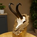 Gamsgeweih Bock SL 23 cm Gams Gems Geweih auf geschnitztem Trophäenschild 47.276