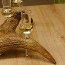 Schnapsanbieter 4x kleine Gläser Steckglas mit Stiel auf Elchstange Geschenk 27.60.9.1