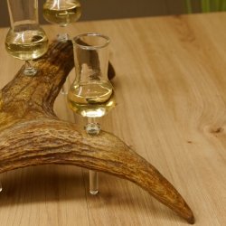 Schnapsanbieter 4x kleine Gläser Steckglas mit Stiel auf Elchstange Geschenk 27.60.9.1