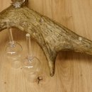 Schnapsanbieter 4x kleine Gläser Steckglas mit Stiel auf Elchstange Geschenk 27.60.9.2