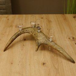 Schnapsanbieter 4x kleine Gläser Steckglas mit Stiel auf Elchstange Geschenk 27.60.9.2