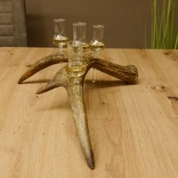 Schnapsanbieter 4x kleine Gläser Steckglas mit Stiel auf Elchstange Geschenk 27.60.9.2