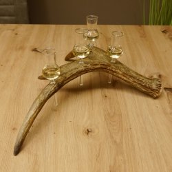 Schnapsanbieter 4x kleine Gläser Steckglas mit Stiel auf Elchstange Geschenk 27.60.9.2