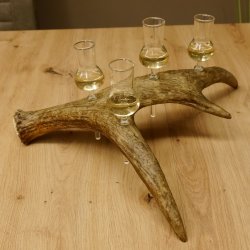 Schnapsanbieter 4x kleine Gläser Steckglas mit Stiel auf Elchstange Geschenk 27.60.9.2