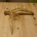 Schnapsanbieter 4x kleine Gläser Steckglas mit Stiel auf Elchstange Geschenk 27.60.9.3