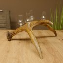 Schnapsanbieter 4x kleine Gläser Steckglas mit Stiel auf Elchstange Geschenk 27.60.9.3