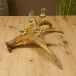 Schnapsanbieter 4x kleine Gläser Steckglas mit Stiel auf Elchstange Geschenk 27.60.9.3