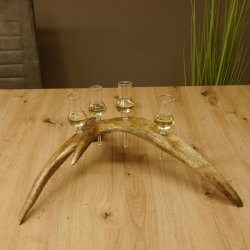 Schnapsanbieter 4x kleine Gläser Steckglas mit Stiel auf Elchstange Geschenk 27.60.9.3