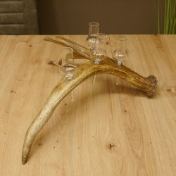 Schnapsanbieter 4x kleine Gläser Steckglas mit Stiel auf Elchstange Geschenk 27.60.9.3