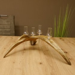 Schnapsanbieter 4x kleine Gläser Steckglas mit Stiel auf Elchstange Geschenk 27.60.9.3