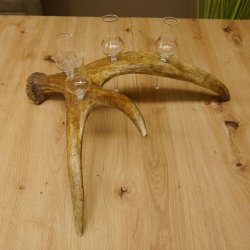 Schnapsanbieter 4x kleine Gläser Steckglas mit Stiel auf Elchstange Geschenk 27.60.9.3