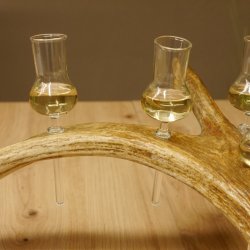 Schnapsanbieter 4x kleine Gläser Steckglas mit Stiel auf Elchstange Geschenk 27.60.9.3