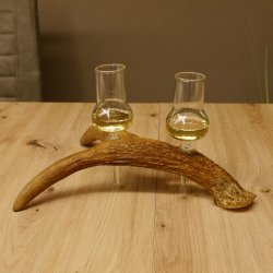 Schnapsanbieter 2 Gläser große mit Stiel auf Elchstange Ständer Steckglas Set Schnaps Geschenk Neu 27.60.9.4