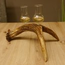 Schnapsanbieter 2x Gläser große mit Stiel auf...