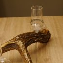 Schnapsanbieter 2x Gläser große mit Stiel auf Elchstange Ständer Steckglas Set Schnaps Geschenk Neu 27.60.9.5