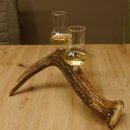 Schnapsanbieter 2x Gläser große mit Stiel auf Elchstange Ständer Steckglas Set Schnaps Geschenk Neu 27.60.9.5