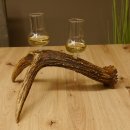 Schnapsanbieter 2x Gläser große mit Stiel auf Elchstange Ständer Steckglas Set Schnaps Geschenk Neu 27.60.9.5