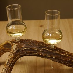 Schnapsanbieter 2x Gläser große mit Stiel auf Elchstange Ständer Steckglas Set Schnaps Geschenk Neu 27.60.9.5