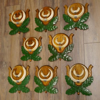 Wildschweinwaffen (Sus scrofa) 8 Stück Keilerwaffen Trophäe Keiler Gewaff Schilder 32.280