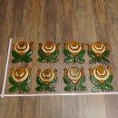 Wildschweinwaffen (Sus scrofa) 8 Stück Keilerwaffen...