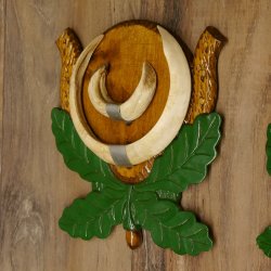 Wildschweinwaffen (Sus scrofa) 8 Stück Keilerwaffen Trophäe Keiler Gewaff Schilder 32.280