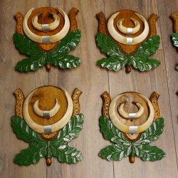 Wildschweinwaffen (Sus scrofa) 8 Stück Keilerwaffen Trophäe Keiler Gewaff Schilder 32.280