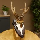 Rehgeweih Medaillenklasse Bronze 370 g CIC 108,40 IP HL bis 20,7 cm kapitaler Bock Reh Geweih Gehörn Schild