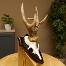 Rehgeweih Medaillenklasse Bronze 370 g CIC 108,40 IP HL bis 20,7 cm kapitaler Bock Reh Geweih Gehörn Schild