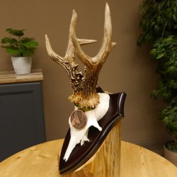 Rehgeweih Medaillenklasse Bronze 370 g CIC 108,40 IP HL bis 20,7 cm kapitaler Bock Reh Geweih Gehörn Schild