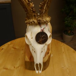 Rehgeweih Medaillenklasse Bronze 440 g CIC 109,8 IP HL max. 24,6 cm kapitaler Bock Reh Geweih Gehörn