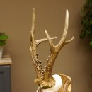 Rehgeweih Medaillenklasse Bronze 360 g CIC 109,98 IP HL max. 27,2 cm kapitaler Bock Reh Geweih Gehörn