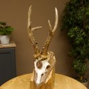 Rehgeweih Medaillenklasse Bronze 360 g CIC 109,98 IP HL max. 27,2 cm kapitaler Bock Reh Geweih Gehörn