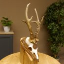 Rehgeweih Medaillenklasse Bronze 360 g CIC 109,98 IP HL max. 27,2 cm kapitaler Bock Reh Geweih Gehörn