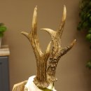 Rehgeweih Medaillenklasse Silber 495 g CIC 121,4 IP HL max. 23 cm hochkapitaler Bock Reh Geweih Gehörn Schild