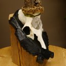 Rehgeweih Medaillenklasse Silber 440 g CIC 124,08 IP HL max. 25,7 cm hochkapitaler Bock Reh Geweih Gehörn Schild