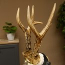 Rehgeweih Medaillenklasse Silber 440 g CIC 124,08 IP HL max. 25,7 cm hochkapitaler Bock Reh Geweih Gehörn Schild