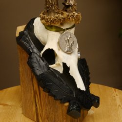 Rehgeweih Medaillenklasse Silber 440 g CIC 124,08 IP HL max. 25,7 cm hochkapitaler Bock Reh Geweih Gehörn Schild