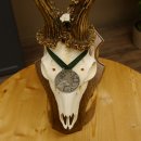 Rehgeweih Medaillenklasse Silber 510 g CIC 124,90 IP HL max. 26,7 cm hochkapitaler Bock Reh Geweih Gehörn Schild