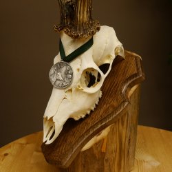 Rehgeweih Medaillenklasse Silber 510 g CIC 124,90 IP HL max. 26,7 cm hochkapitaler Bock Reh Geweih Gehörn Schild