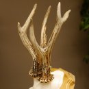 Rehgeweih abnormer Rehbock Reh Geweih Bock Gehörn Trophäenschild 607.151