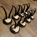 Gamsgeweihe 8 Stück Gamsen SL bis 22,3 cm Bock Gemse Geweihe auf neuen Trophäenschildern