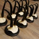 Gamsgeweihe 8 Stück Gamsen SL bis 22,3 cm Bock Gemse Geweihe auf neuen Trophäenschildern