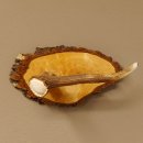 Klorollenhalter WC Rollenhalter Toilettenpapierhalter Hirschstange Hirsch Birkeschild 100.4.7