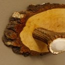 Klorollenhalter WC Rollenhalter Toilettenpapierhalter Hirschstange Hirsch Birkeschild 100.4.7