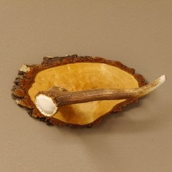 Klorollenhalter WC Rollenhalter Toilettenpapierhalter Hirschstange Hirsch Birkeschild 100.4.7