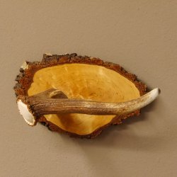 Klorollenhalter WC Rollenhalter Toilettenpapierhalter Hirschstange Hirsch Birkeschild 100.4.7