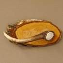 Klorollenhalter WC Rollenhalter Toilettenpapierhalter Hirschstange Hirsch Birkeschild 100.4.8