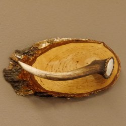 Klorollenhalter WC Rollenhalter Toilettenpapierhalter Hirschstange Hirsch Birkeschild 100.4.8