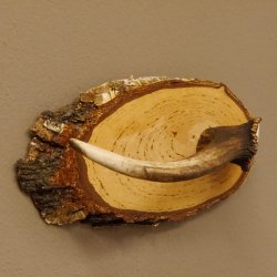 Klorollenhalter WC Rollenhalter Toilettenpapierhalter Hirschstange Hirsch Birkeschild 100.4.8